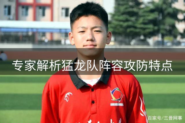 专家解析猛龙队阵容攻防特点